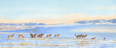 painting of a herd of pronghorn antelope in a montana winter landscape, western wildlife art