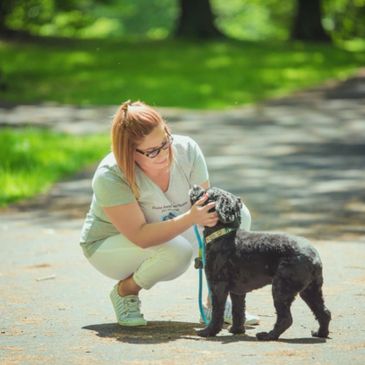 One of our long time pup clients enjoying a little TLC while out on his walk!