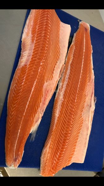 Salmon Fillets 230g-250g each