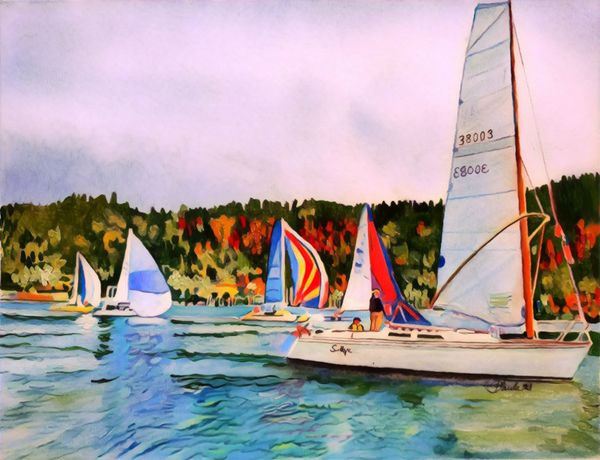 Sailboat Races