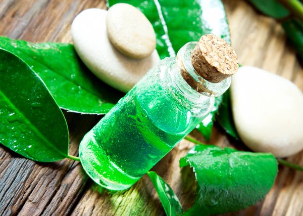 OCP&E Essential Oils, Eucalyptus Tea Tree Blend Water Soluble Blend