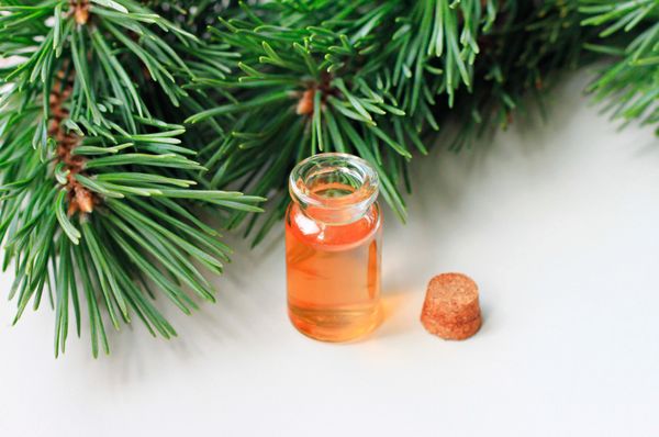 OCP&E Essential Oils, Pine Plus Nine Water Soluble Blend