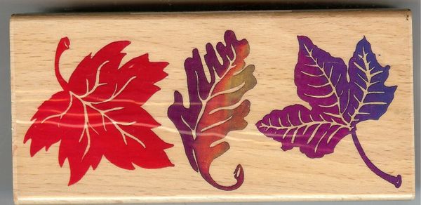 All Night Media Rubber Stamps 550-J18 Swirling Autumn Leave Falling, Nature S5