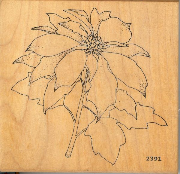 Co-Motion Rubber Stamp Rare #2391 Botanical Poinsettia, Flowers, Christmas S14
