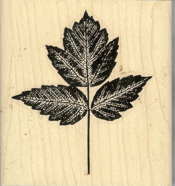Rubber Nature Art Stamps 2000-91-8G Large Flat Leaf, Background fall. S22