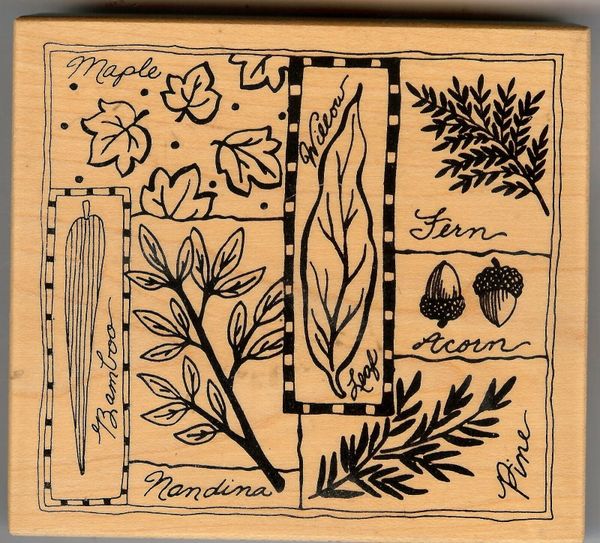 PSX Rubber Stamp K-3162 Rare, Botanical Maple, Pine, Willow S13