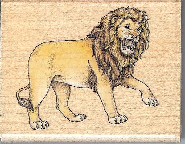 Rubber Stampede Rubber Stamp A827E King of the Jungle, Lion SSBD1-7