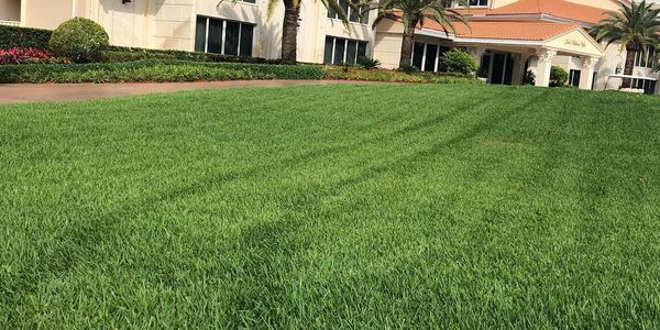 lawn care
