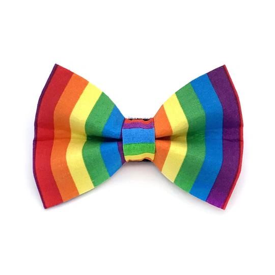 Rainbow Dog Bow Tie by Winthrop Clothing Co.