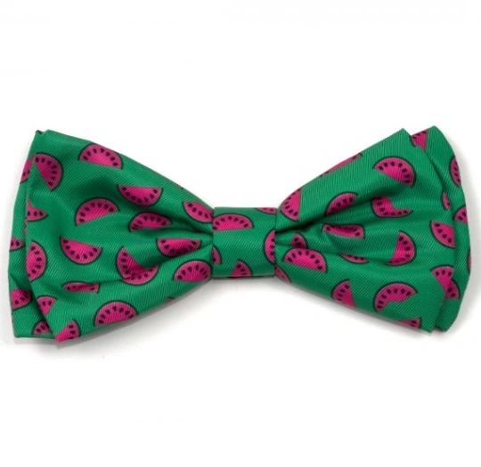 The Worthy Dog Bow Tie - Watermelons