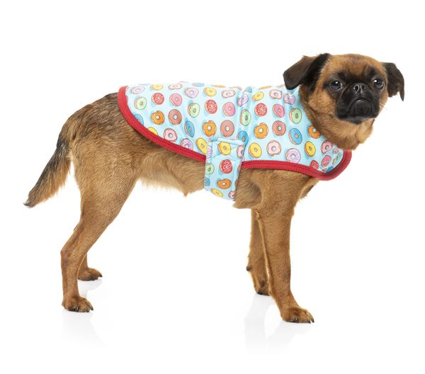 Dog Wrap Vest "You Drive Me Glazy" Donut Print Coat by FuzzYard