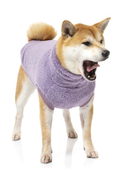 Purple Fuzzy Turtle Teddy Dog Sweater by FuzzYard