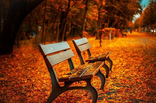 Autumn Breeze**