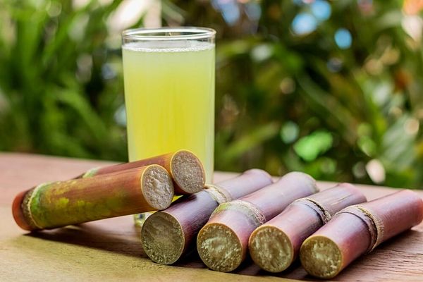 Bamboo & Sugar Cane