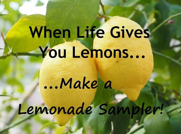 When Life Gives You Lemons... (Molten Wax Lemonade Sampler) (Out Of Stock)