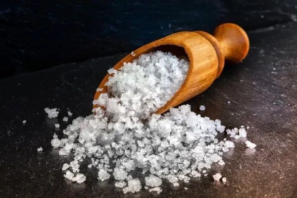 Salt Sample - Arugula (inspired by Archipelago)
