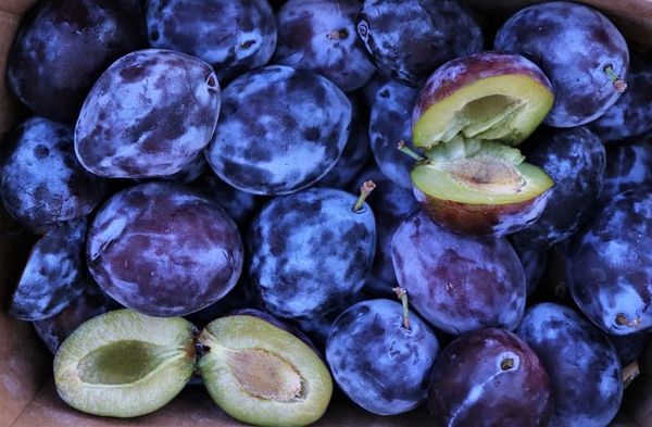 Black Plum & Creme de Cassis (inspired by Sol De Janeiro Cheirosa ’40) (PLTM)