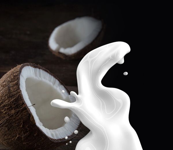 Coconut Manna (PLTM)