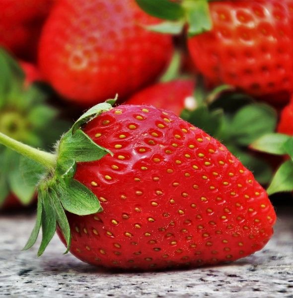 Strawberry…the REAL deal! (PLTM)