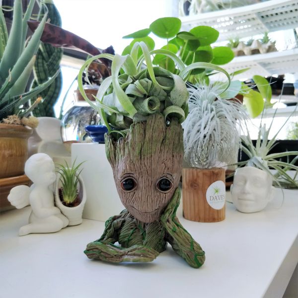 I Am Groot" - Baby Groot with