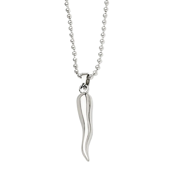 Stainless Steel Italian Horn Pendant with Chain