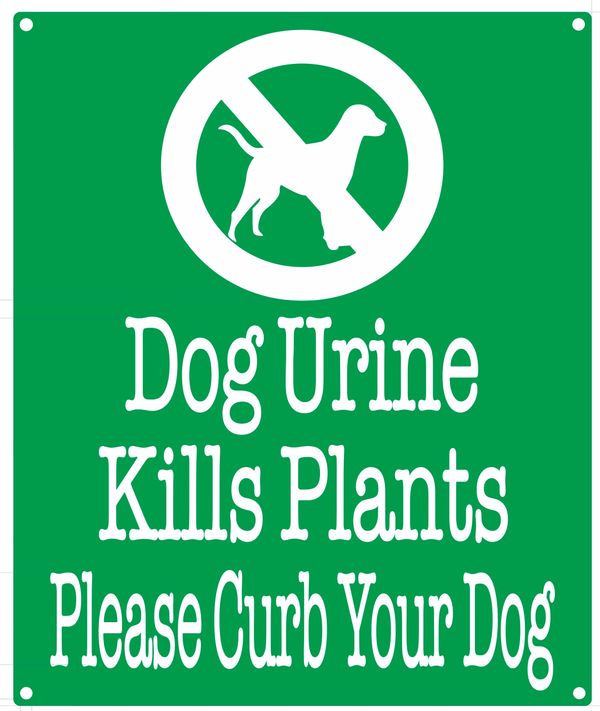 why does dog urine kill plants