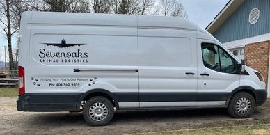 Pet Shipping - Sevenoaks Animal Logistics Pet Relocation Services Pet Shipping - Sevenoaks Animal Logistics Pet Relocation Services