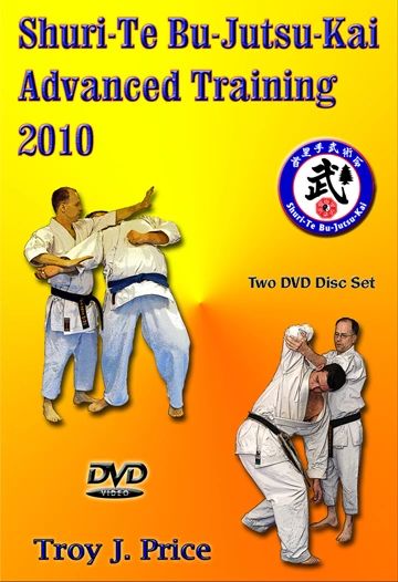 2010 Advanced Martial Arts Training Seminar (shurite Bujutsu-kai)