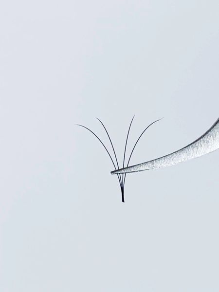 Hand Made 4d Fan 0 07 Box Of 490 520 Fans