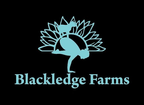 blackledge farms, goat yoga gift certificates