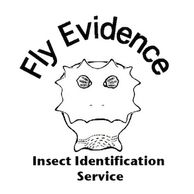 FlyEvidence logo