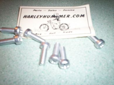 1375 Crankcase Bolt