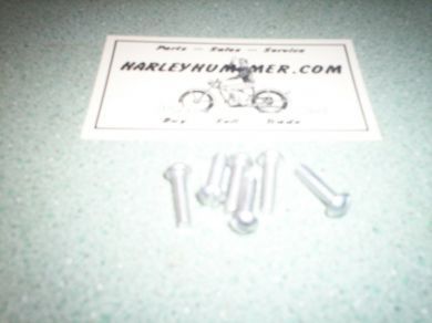 2638 Cadmium Tail Light Lens Screw