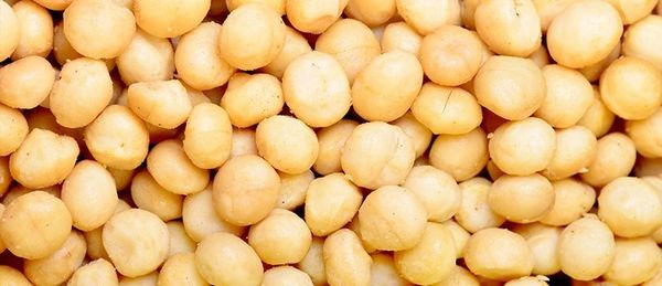 Bulk Mac Nuts 10 pounds - Dry Roasted Unsalted