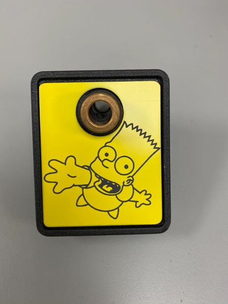 The Simpsons Pinball Party Shooter Plate