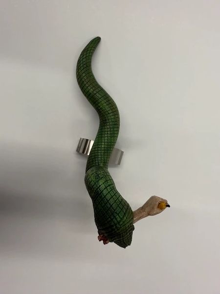 JUNGLE SNAKE WITH ARM