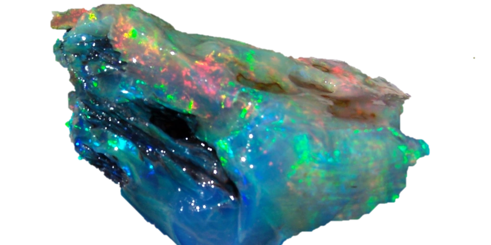 Virgin Valley Opal, W00DnOPAL, Nevada Opal