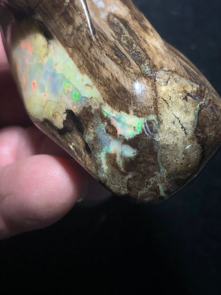 SOLD PETRIFIED WOOD OPAL BEAUTY 189 GRAMS VIRGIN VALLEY BIG, 57% OFF