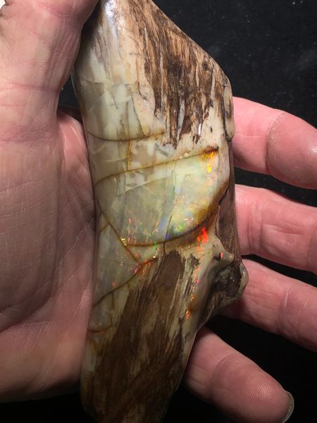 SOLD PETRIFIED WOOD OPAL BEAUTY 189 GRAMS VIRGIN VALLEY BIG, 57% OFF