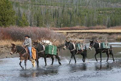 Packing for a hunting lodge