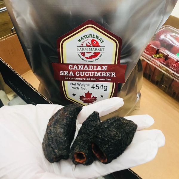 Canadian deep dry sea cucumber 1lb bag 加拿大北极圆筒整参1磅袋（40头左右）