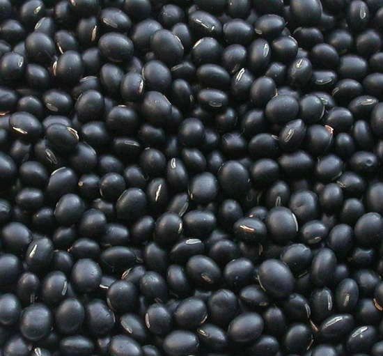 Grain_USA Organic Black Beans 2lb / bag 美国有机黑豆 2磅/袋