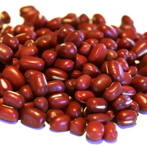 GRAIN_Organic Azuki Bean 2lbs 有机红豆2磅