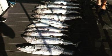 Galveston-Texas-King-Mackerel-Fishing