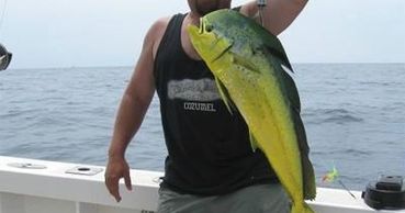 Deep Sea Fishing For Mahi