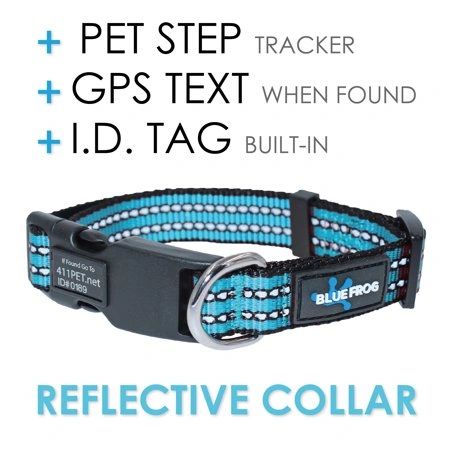 Blue Collar For Dogs, Blue Dog Collar