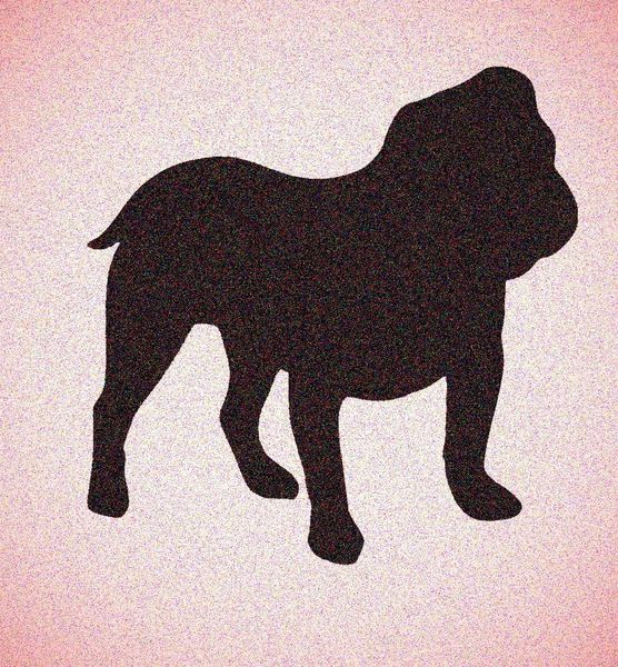 Bulldog Stencil Bulldogs Dogs Pet Stencils