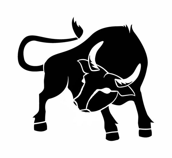 Bull Stencil Bulls Animal Stencils