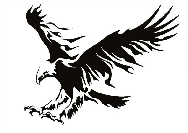 Flying Eagle Stencil Eagles Bird Birds Stencils