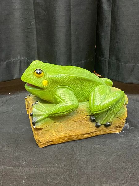 Sm Frog on The Log